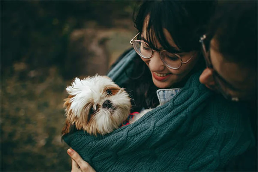 犬のボルデテラワクチン、本当に必要？効果や副作用を獣医師が徹底解説